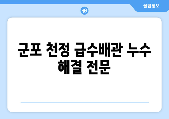 군포 천정 급수배관 누수 차단 보수| 출장 용접 전문 | 누수 해결, 깔끔한 마무리, 빠른 출동