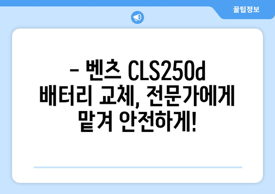 백석동 벤츠 CLS250d 배터리, 즉시 출장 교체! |  빠르고 안전하게, 전문가에게 맡기세요