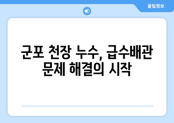 군포 천정 급수배관 누수 차단, 완벽 시공 사례| 문제 해결부터 마무리까지 | 급수배관 누수, 천정 누수, 군포 누수 공사, 누수 차단, 배관 보수