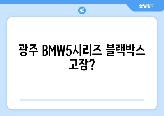 광주 BMW5시리즈 블랙박스 고장? 출장 시공 전문 업체 | 블랙박스 수리, 교체, AS, 출장 서비스