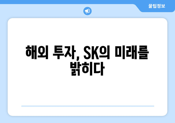 최태원 회장의 "광폭 출장" | 글로벌 비즈니스를 잡아라! | SK, 해외 투자, 성장 전략