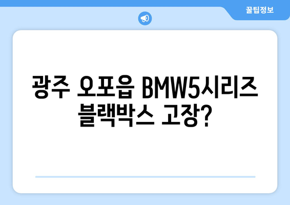 광주 오포읍 BMW5시리즈 블랙박스 고장? 출장 시공 전문 업체 | 블랙박스 수리, 교체, 출장, BMW