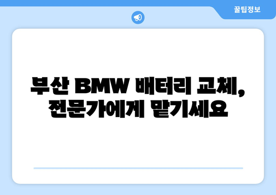 부산 BMW 320d 배터리 출장 교체| 빠르고 안전하게 | BMW 배터리 교체, 출장 서비스, 부산