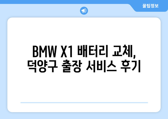 BMW X1 배터리 교체, 덕양구 출장 서비스 후기| 실제 고객 사례 공개 | BMW X1, 배터리 교체, 출장 서비스, 덕양구, 자동차 정비