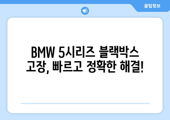 광주시 오포읍 BMW 5시리즈 블랙박스 고장? 출장 시공 전문가에게 맡겨보세요! | 블랙박스 수리, 출장 서비스, 견적 문의