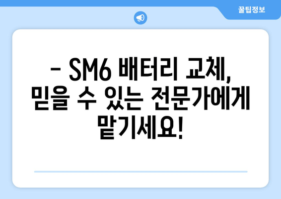 SM6 배터리 교체, 출장으로 간편하게 해결하세요! | SM6 배터리, 출장 교체, 배터리 교체 비용, 배터리 방전, 자동차 배터리