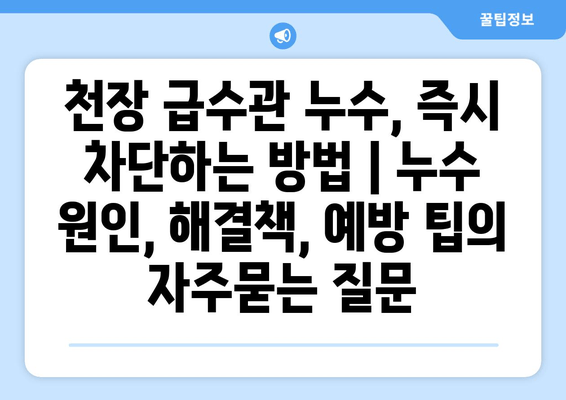 천장 급수관 누수, 즉시 차단하는 방법 | 누수 원인, 해결책, 예방 팁