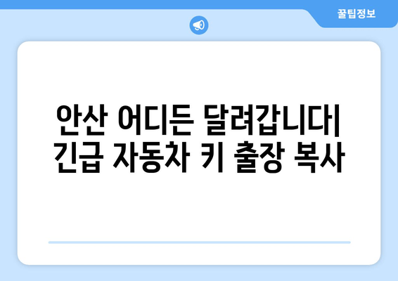 안산 출장 자동차 열쇠 복사| 빠르고 안전하게 해결하세요 | 자동차 열쇠, 긴급 출장, 안산 지역