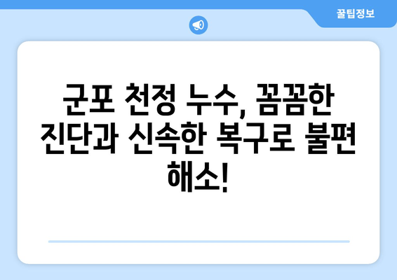 군포 천정 급수배관 누수 차단 보수| 출장 용접 전문 | 누수 해결, 빠른 복구, 합리적인 비용