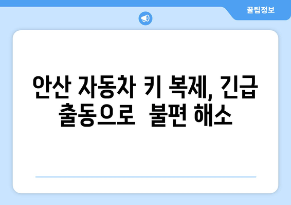 안산 자동차 키 분실? 출장 복제 서비스로 빠르고 안전하게 해결하세요! | 안산, 자동차 키 복제, 출장 서비스, 긴급 출동