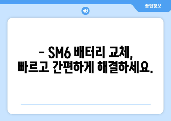 SM6 배터리 출장 교체 | 빠르고 편리하게! | 배터리 교체, 출장 서비스, SM6