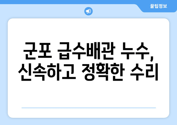 군포 급수배관 누수, 출장 용접으로 빠르고 안전하게 해결하세요 | 누수 차단, 배관 수리, 24시간 출동