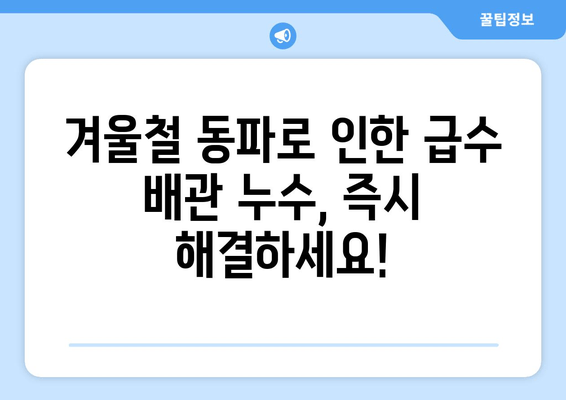 동파이프 급수배관 누수, 경기 광주 출장 용접으로 즉시 차단! | 동파, 급수, 누수, 출장, 용접, 수리, 해결