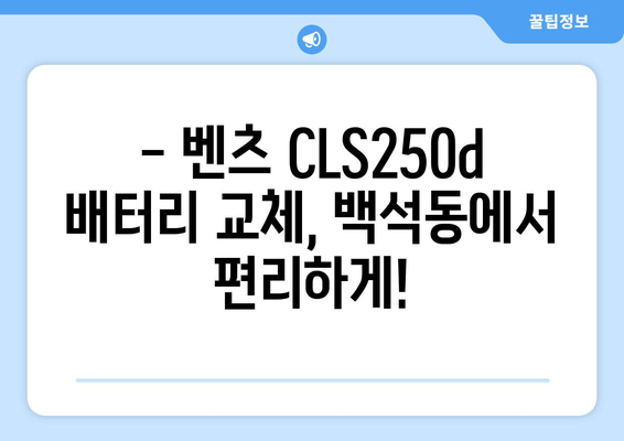 벤츠 CLS250d 배터리 교체, 백석동 출장 가능 | 벤츠 배터리, 출장 교체, 자동차 배터리