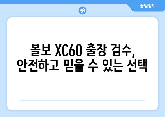 볼보 XC60 수입차 출장 검수, 숨겨진 문제점 찾는 팁 | 수입차 검수, 출장 검수, 볼보 XC60