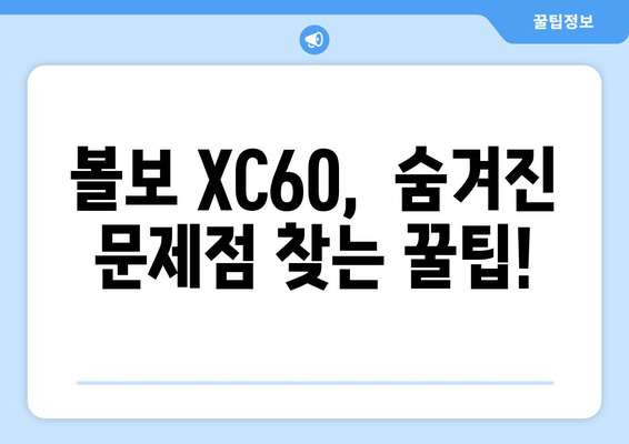 볼보 XC60 수입차 검수, 놓치기 쉬운 부분은? |  중고차 검수, 꼼꼼한 체크리스트, 전문가 조언