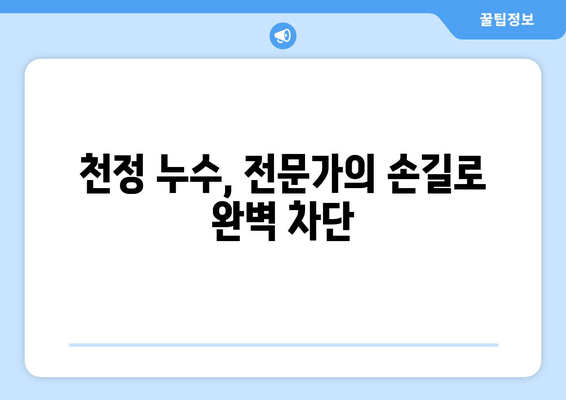 천정 급수배관 누수, 군포 출장 용접으로 말끔하게 해결하세요! | 누수 차단, 배관 수리, 믿음직한 보수