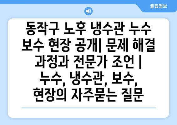 동작구 노후 냉수관 누수 보수 현장 공개| 문제 해결 과정과 전문가 조언 | 누수, 냉수관, 보수, 현장