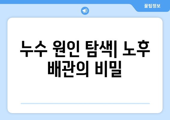 동작구 노후 냉수배관 누수 보수 현장 기록| 문제점 분석 및 해결 과정 | 냉수배관 누수, 누수 원인, 보수 방법, 현장 경험