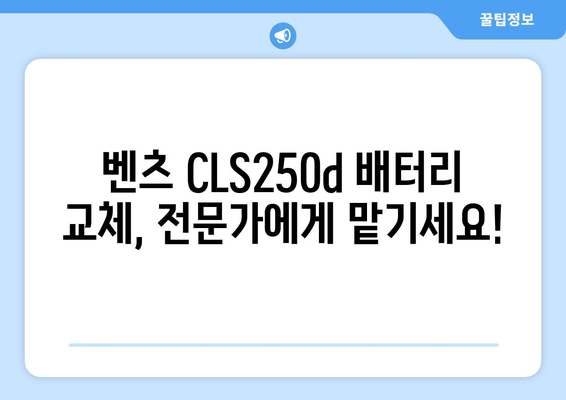 벤츠 CLS250d 배터리 백석동 출장 교체| 빠르고 안전하게 | 벤츠 배터리 교체, 백석동, 출장 서비스, 자동차 배터리, 배터리 교환