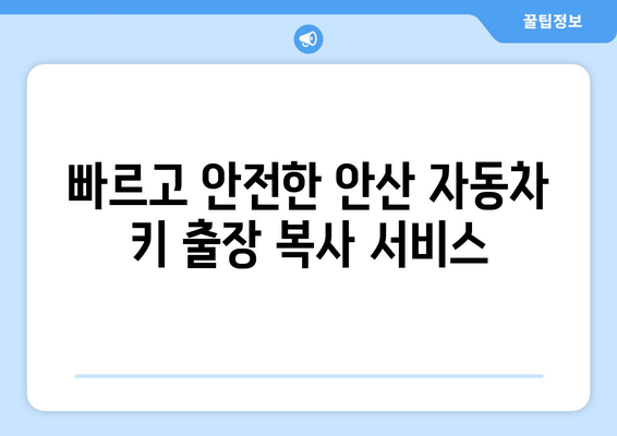 안산 자동차 키 분실? 출장 복사 전문 업체 찾기 | 빠르고 안전하게 해결하세요!