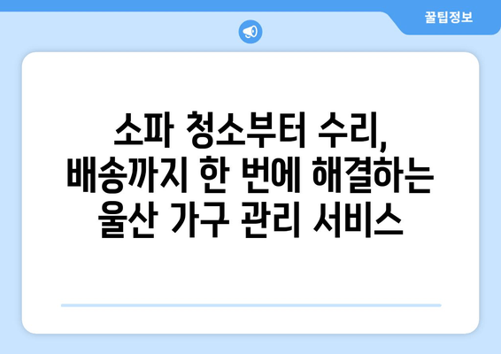 울산 소파 관리의 편리함| 의뢰부터 출장 서비스까지 한 번에 | 소파 청소, 수리, 배송, 울산 가구 관리