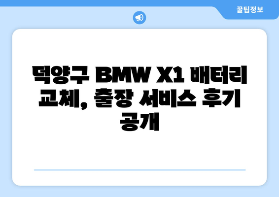 BMW X1 배터리 교체, 덕양구 출장 서비스 후기| 실제 고객 사례 공개 | BMW X1, 배터리 교체, 출장 서비스, 덕양구, 자동차 정비