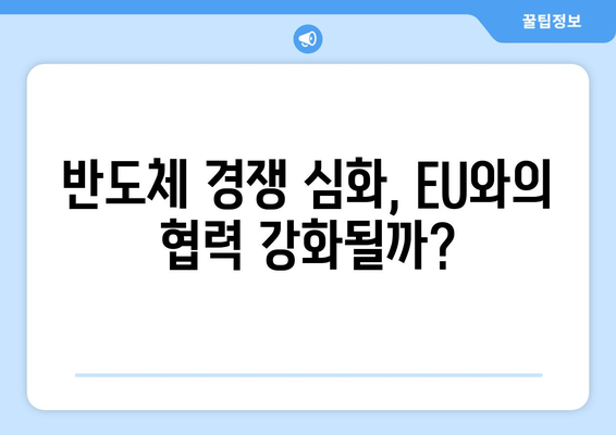 이재용 회장, 유럽 출장 후 의미심장한 발언… 무슨 의미일까? | 삼성, 반도체, EU, 경쟁