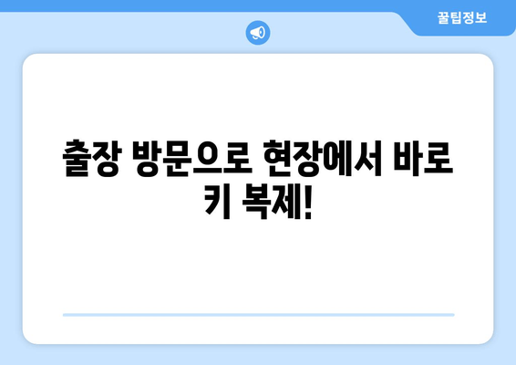 YF 소나타 자동차 키 분실? 출장 방문 키 복제 전문 | 자동차키 제작, 긴급 출동, 24시간