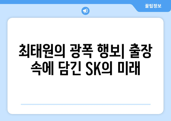 최태원의 광폭 행보| 출장 또한 출장, 그 이면을 들여다보다 | SK, 경영, 글로벌, 투자