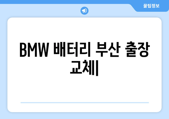 BMW 배터리 부산 출장 교체| 빠르고 안전하게! | 부산 BMW 배터리 교체, 출장 서비스, 전문 업체