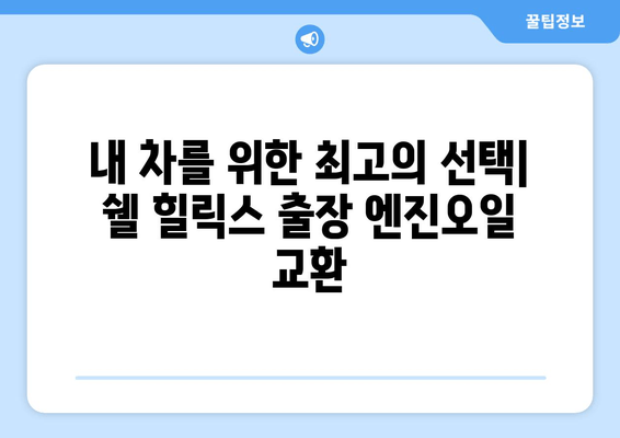 출장 엔진오일 교환의 편리함, 쉘 힐릭스가 선사하는 새로운 서비스 | 쉘 힐릭스, 엔진오일 교환, 출장 서비스, 편리함,