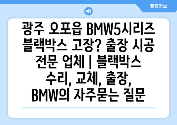 광주 오포읍 BMW5시리즈 블랙박스 고장? 출장 시공 전문 업체 | 블랙박스 수리, 교체, 출장, BMW