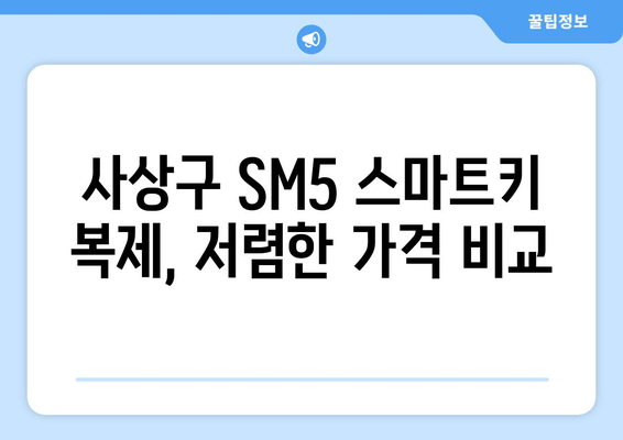 사상구 SM5 스마트키 복사, 출장 비용 얼마? | 스마트키 복제, 차키 분실, 긴급 출동, 가격 비교