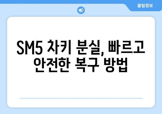 사상구 SM5 스마트키 복사, 출장 비용 얼마? | 스마트키 복제, 차키 분실, 긴급 출동, 가격 비교