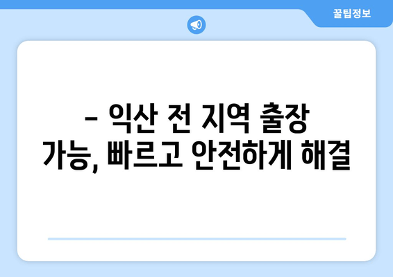 익산 차 키 복사 & 스마트키 제작| 출장 전문, 빠르고 안전하게! | 익산 출장키, 자동차 키 제작, 스마트키 복사, 긴급 출동