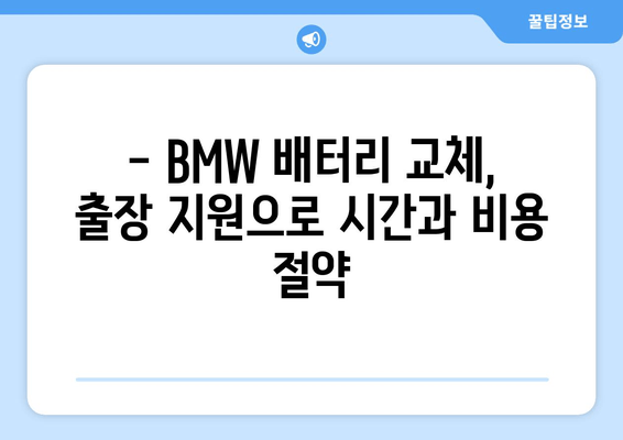 BMW 배터리 교체, 출장 지원으로 간편하게! | 배터리 교체, 출장 서비스, BMW