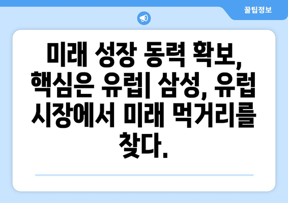 이재용 삼성전자 회장 유럽 출장, 경비 분석에서 드러나는 의미 | 삼성, 유럽 시장, 투자 전략