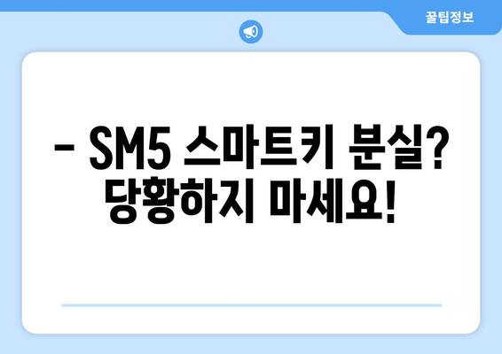 사상구 SM5 스마트키 추가 복사, 출장 서비스 비용 안내 | 차키 분실, 자동차 키 복사, 출장 서비스