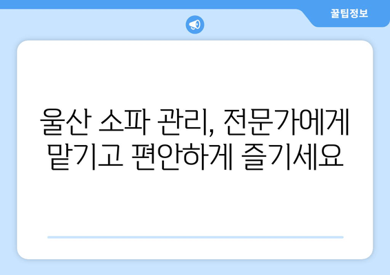 울산 소파 관리의 편리함| 의뢰부터 출장 서비스까지 한 번에 | 소파 청소, 수리, 배송, 울산 가구 관리