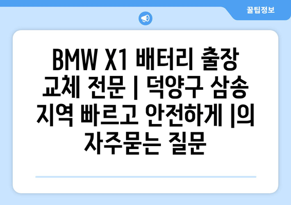 BMW X1 배터리 출장 교체 전문 | 덕양구 삼송 지역 빠르고 안전하게 |