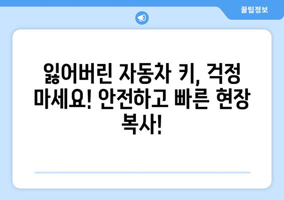 안산 자동차 열쇠 출장 복사| 빠르고 안전하게 해결하세요 | 24시간 출동, 긴급 열쇠 제작, 자동차 키 복사