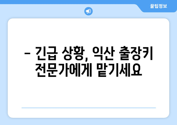 익산 차 키 복사 & 스마트키 제작| 출장 전문, 빠르고 안전하게! | 익산 출장키, 자동차 키 제작, 스마트키 복사, 긴급 출동