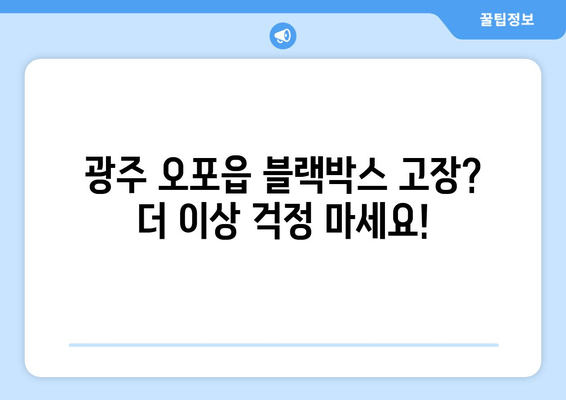 광주 오포읍 블랙박스 고장? 출장 시공으로 편리하게 해결하세요! | 블랙박스 수리, 출장 서비스, 자동차 관리