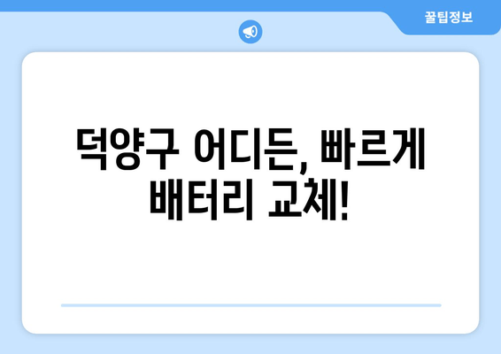 덕양구 배터리 교체 출장 지원 | 빠르고 안전한 배터리 교체, 전문가에게 맡겨보세요!