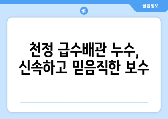 천정 급수배관 누수, 군포 출장 용접으로 말끔하게 해결하세요! | 누수 차단, 배관 수리, 믿음직한 보수