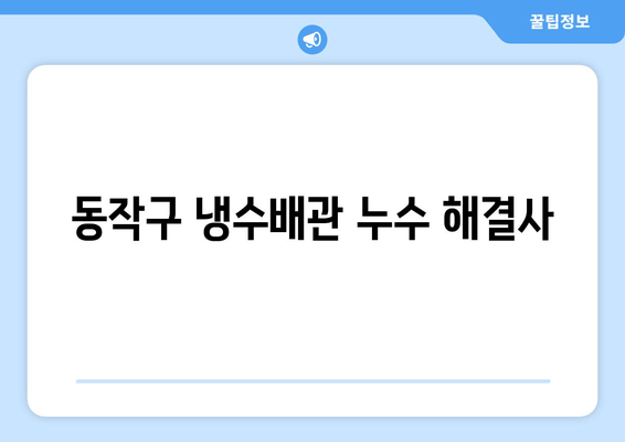 동작구 노후 냉수배관 누수, 출장 용접으로 말끔히 해결하세요! | 누수탐지, 배관수리, 긴급출동