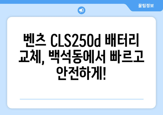 벤츠 CLS250d 배터리 백석동 출장 교체| 빠르고 안전하게 | 벤츠 배터리, 출장 교체, 백석동, 자동차 배터리