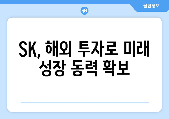 최태원 회장의 