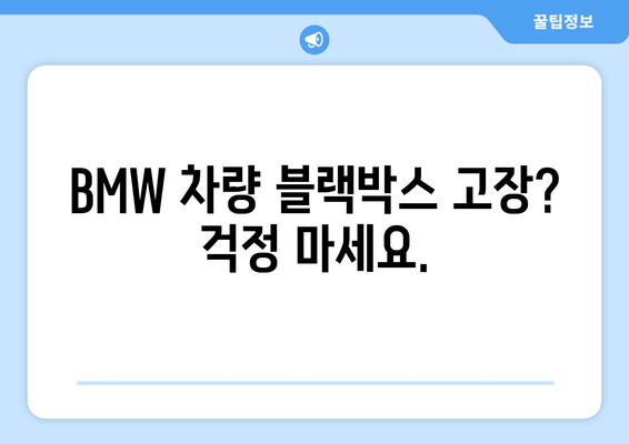 광주 오포읍 BMW5시리즈 블랙박스 고장? 출장 시공 전문 업체 | 블랙박스 수리, 교체, 출장, BMW